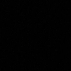 Meet your Posher, Anne